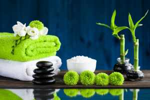 E-kurs Feng shui dla domu
